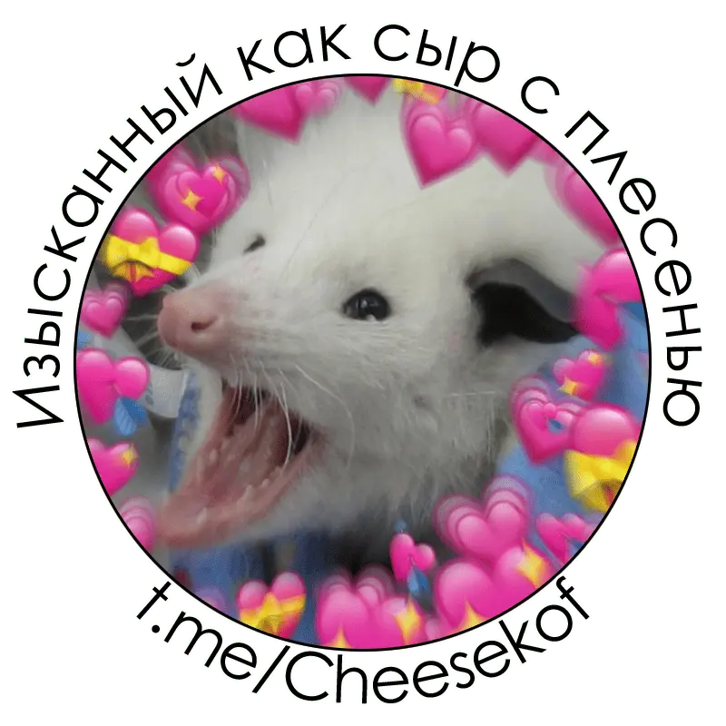 Изысканный как сыр с плесенью